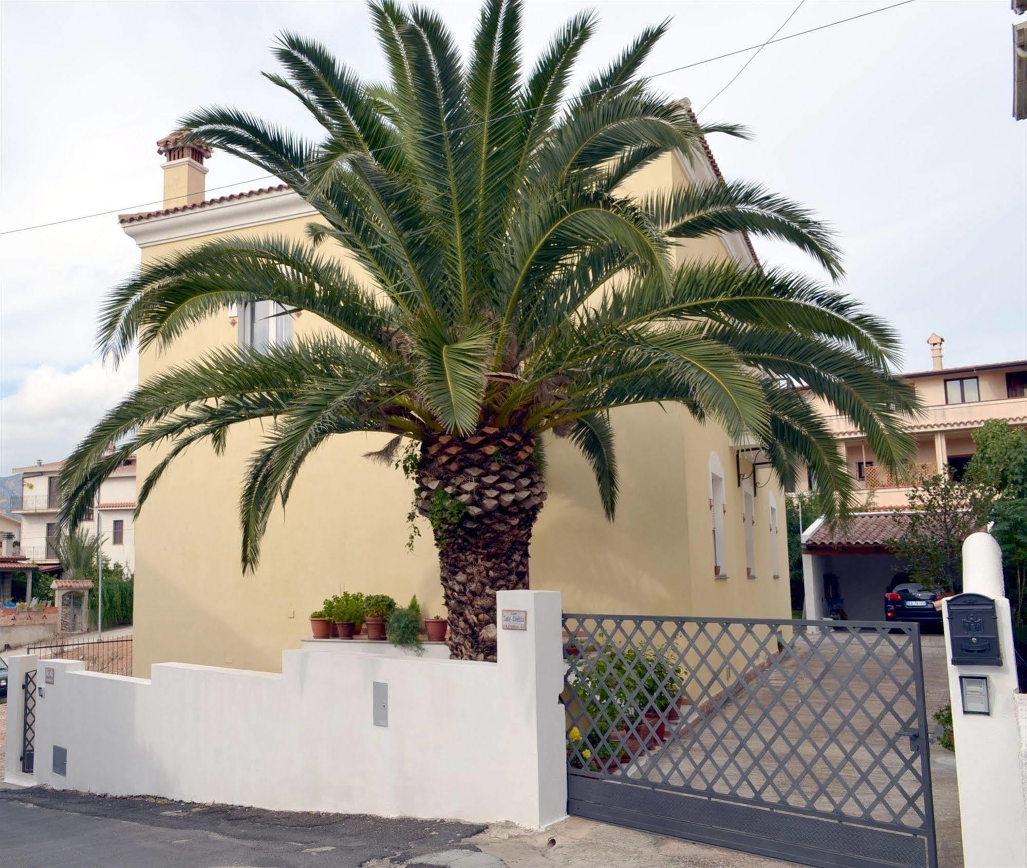 B&B Oliena Exteriér fotografie